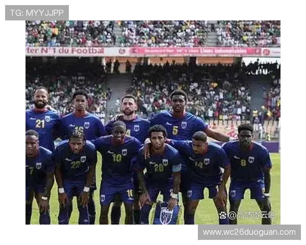 2026年足球世界杯举办城市预测，哪些国家有望成为比赛的主要场地