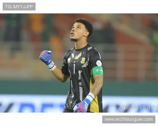 南非世界杯冠军对全球足球发展的推动作用与影响